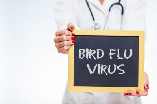 caso sospetto di influenza aviaria