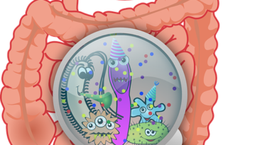Helicobacter Pylori, che cos'è e come si cura questo fastidioso batterio dello stomaco