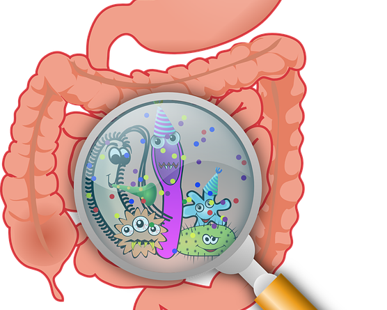 Helicobacter Pylori, che cos'è e come si cura questo fastidioso batterio dello stomaco