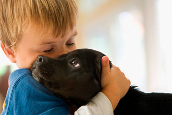 allergie bambini animali